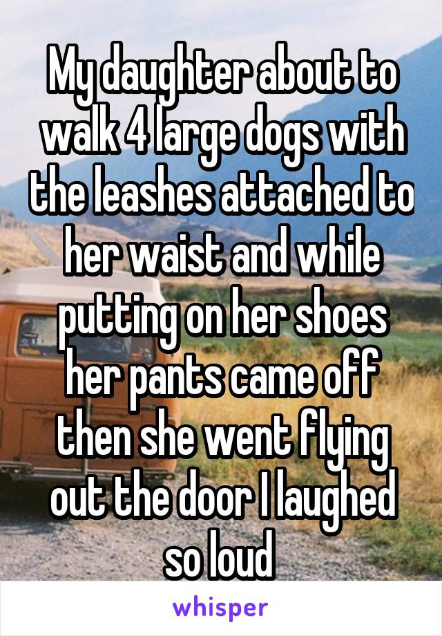 My daughter about to walk 4 large dogs with the leashes attached to her waist and while putting on her shoes her pants came off then she went flying out the door I laughed so loud 