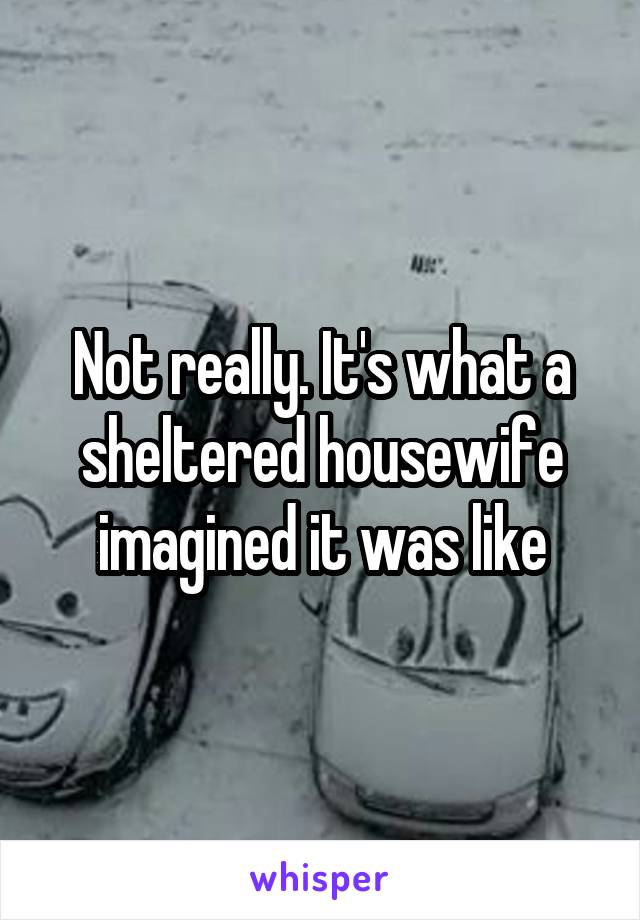 Not really. It's what a sheltered housewife imagined it was like