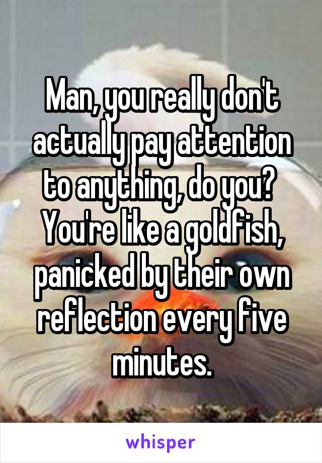 Man, you really don't actually pay attention to anything, do you?  You're like a goldfish, panicked by their own reflection every five minutes.