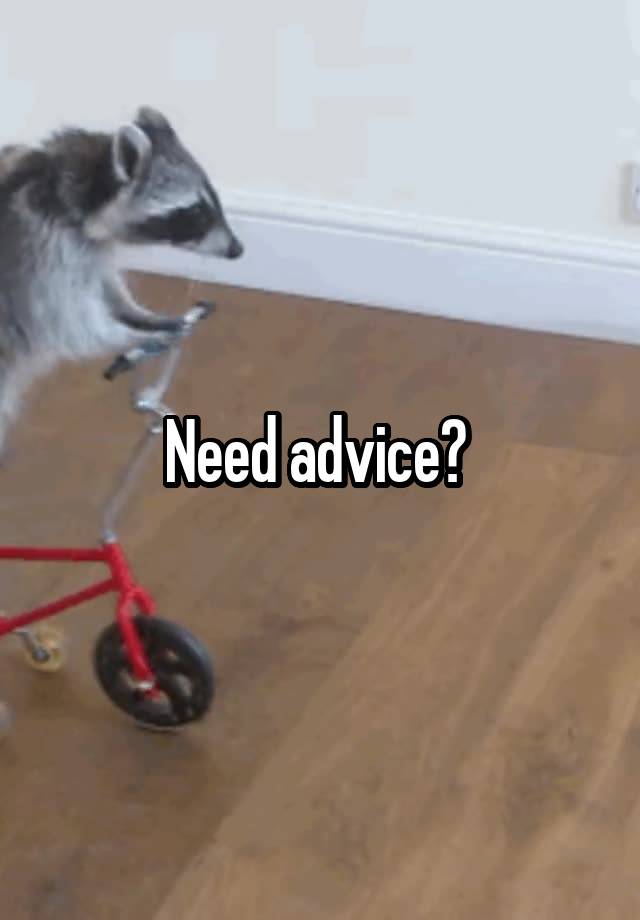 Need advice? 