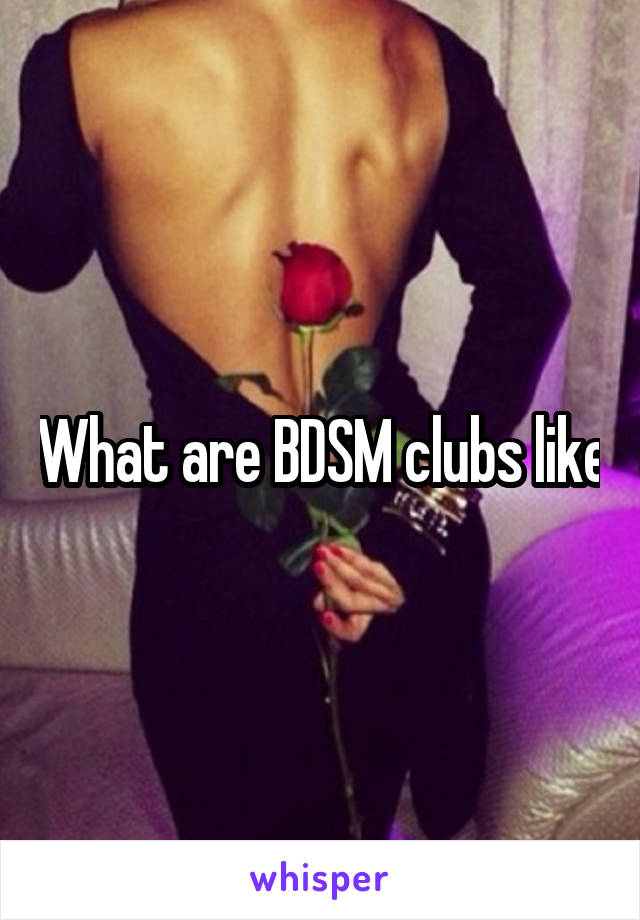 What are BDSM clubs like