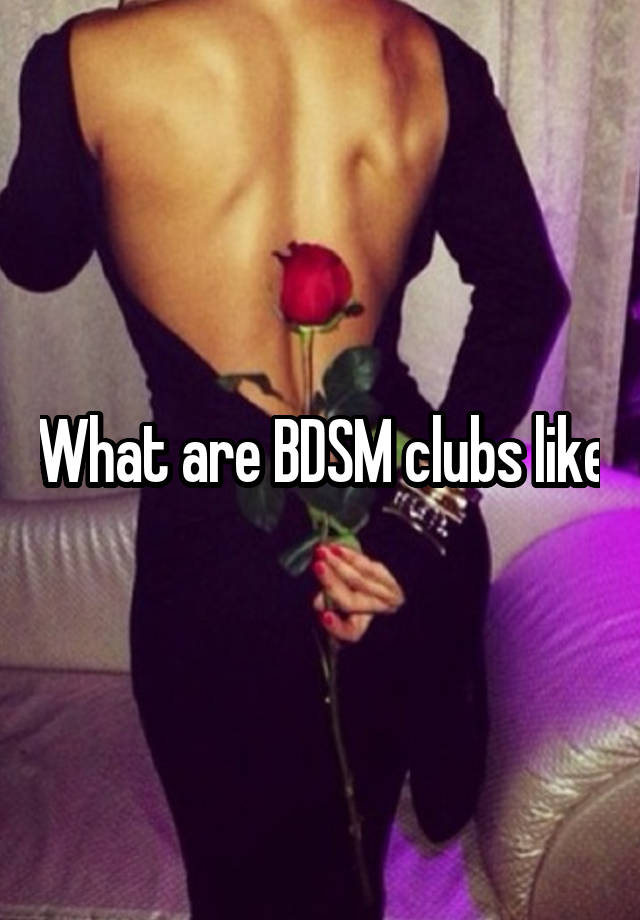 What are BDSM clubs like