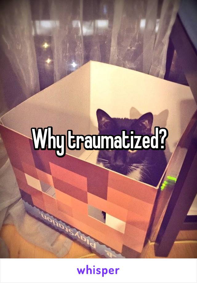 Why traumatized?