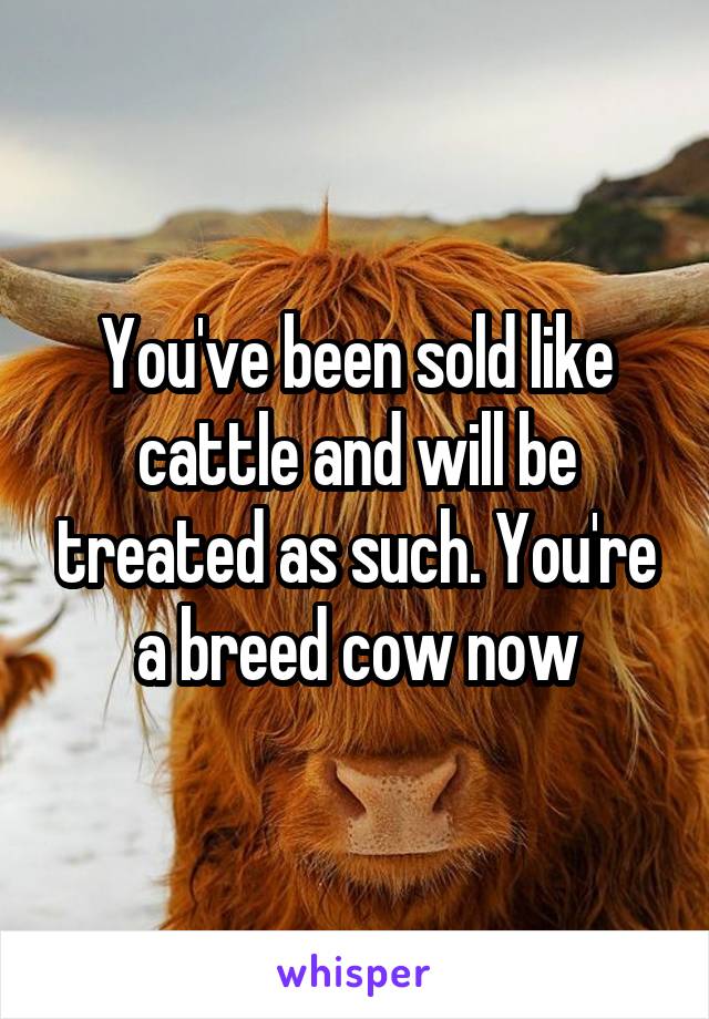 You've been sold like cattle and will be treated as such. You're a breed cow now