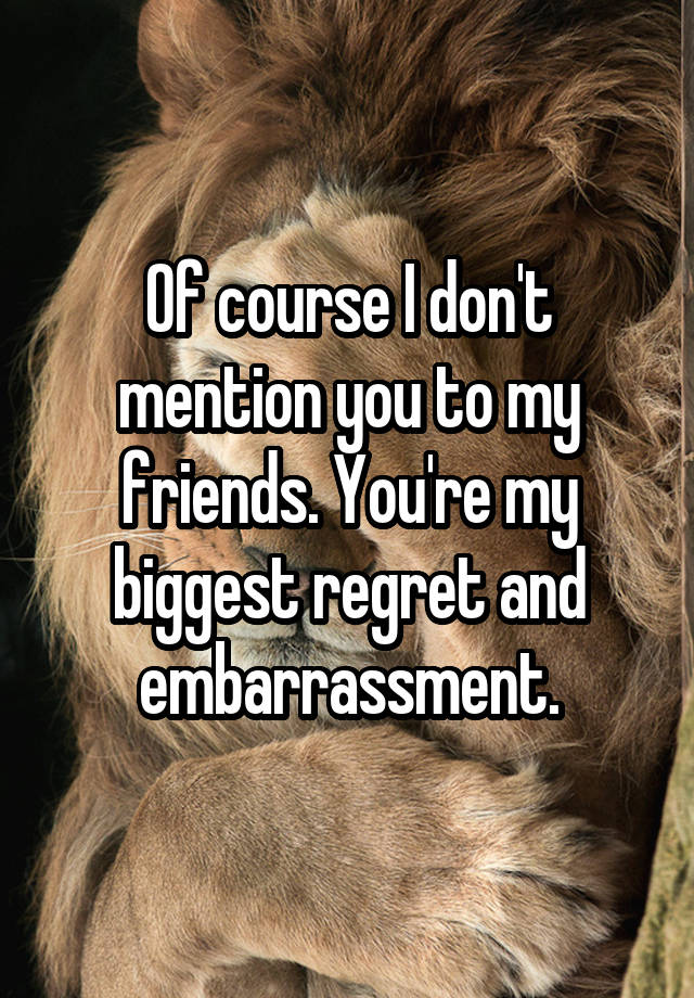 Of course I don't mention you to my friends. You're my biggest regret and embarrassment.