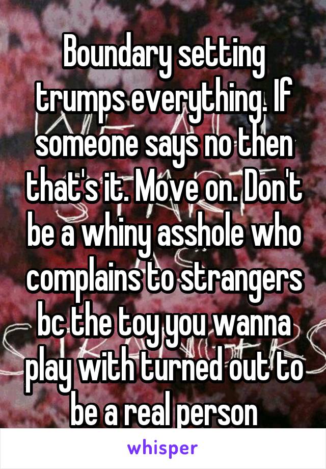 Boundary setting trumps everything. If someone says no then that's it. Move on. Don't be a whiny asshole who complains to strangers bc the toy you wanna play with turned out to be a real person