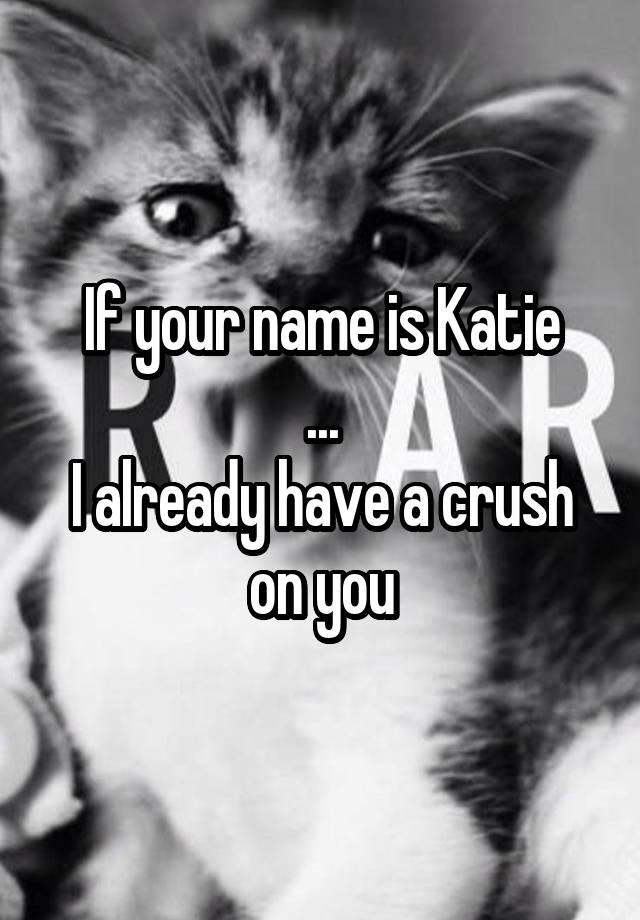 If your name is Katie
...
I already have a crush on you