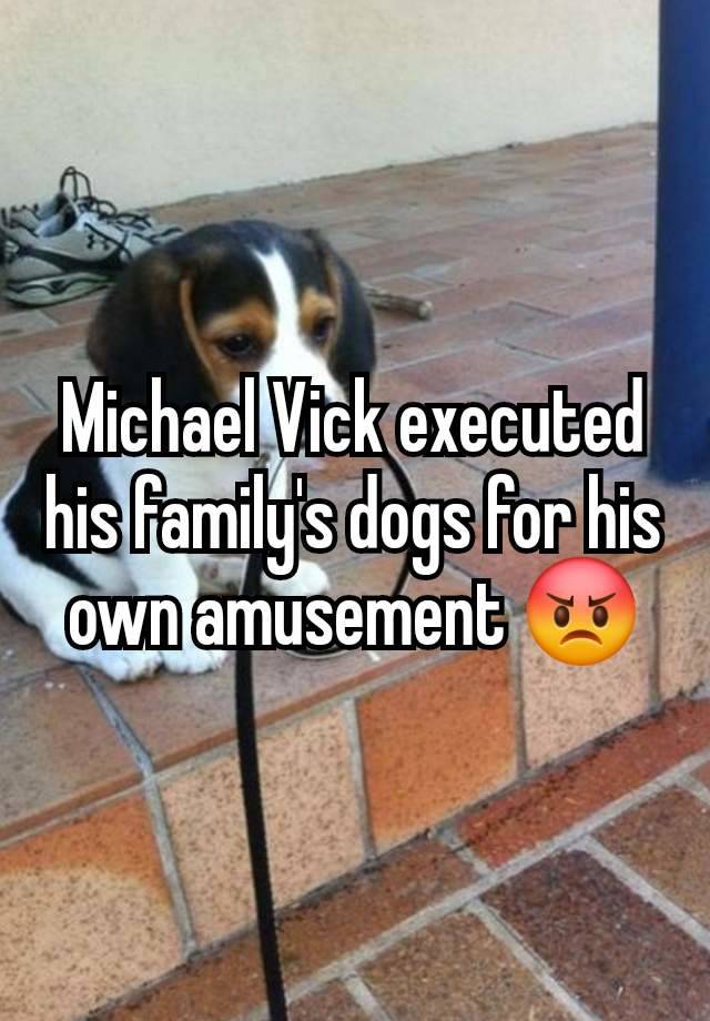 Michael Vick executed his family's dogs for his own amusement 😡