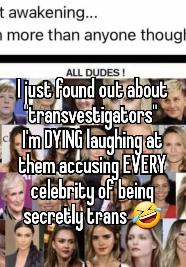 I just found out about "transvestigators" 
I'm DYING laughing at them accusing EVERY celebrity of being secretly trans 🤣