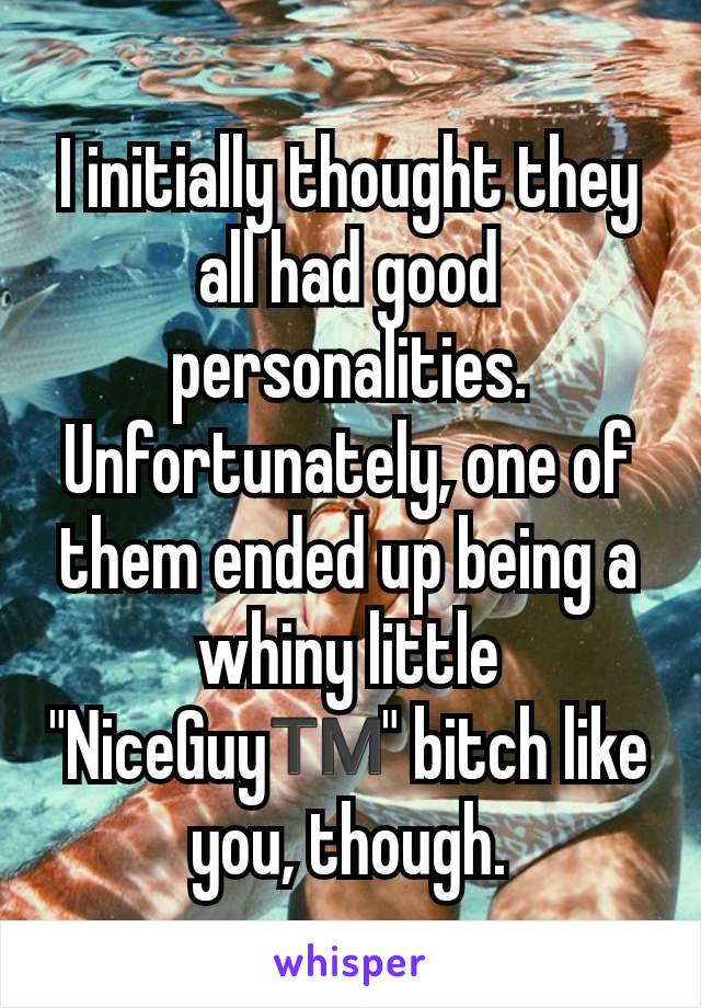 I initially thought they all had good personalities. Unfortunately, one of them ended up being a whiny little "NiceGuy™️" bitch like you, though.