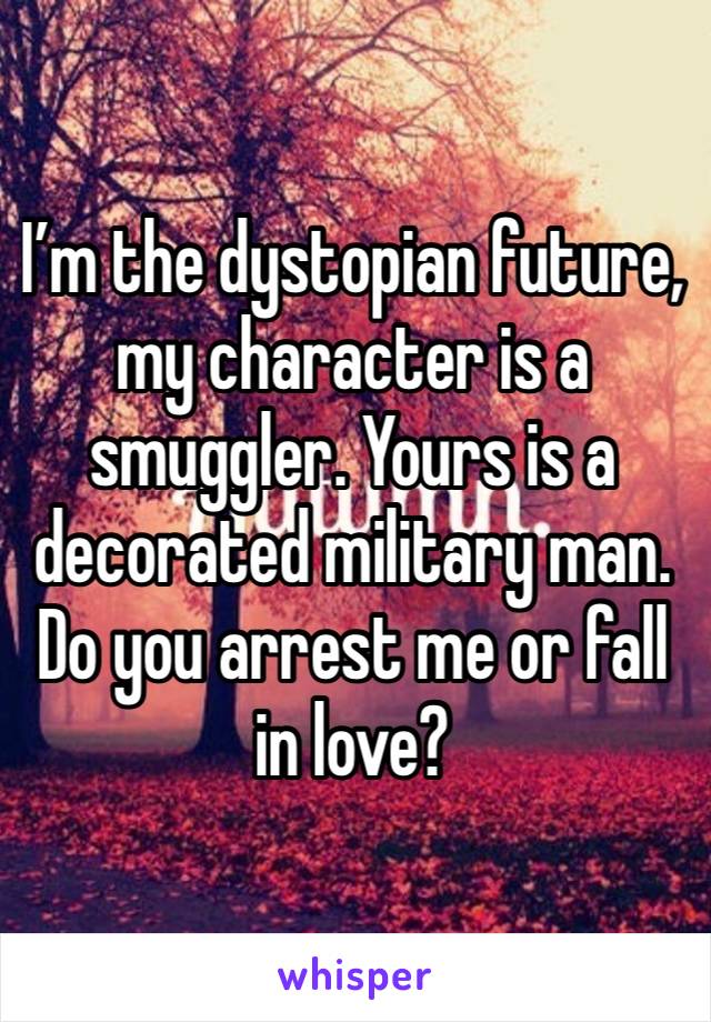 I’m the dystopian future, my character is a smuggler. Yours is a decorated military man. Do you arrest me or fall in love?