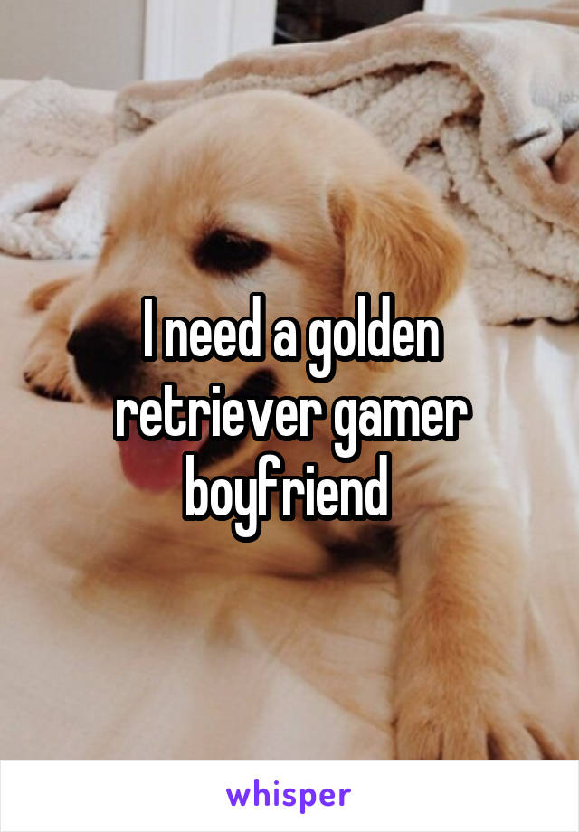 I need a golden retriever gamer boyfriend 