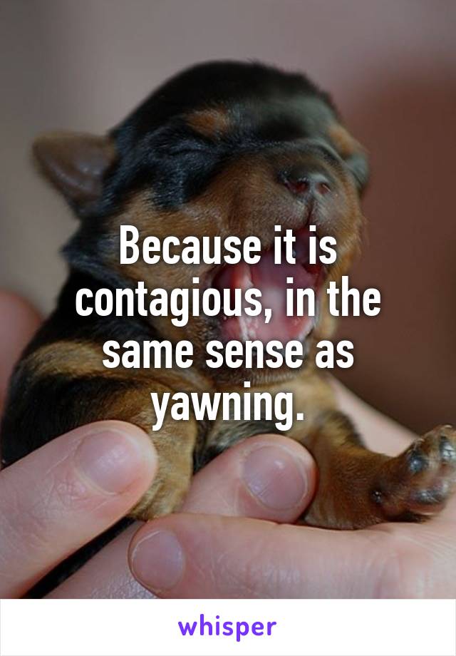 Because it is contagious, in the same sense as yawning.