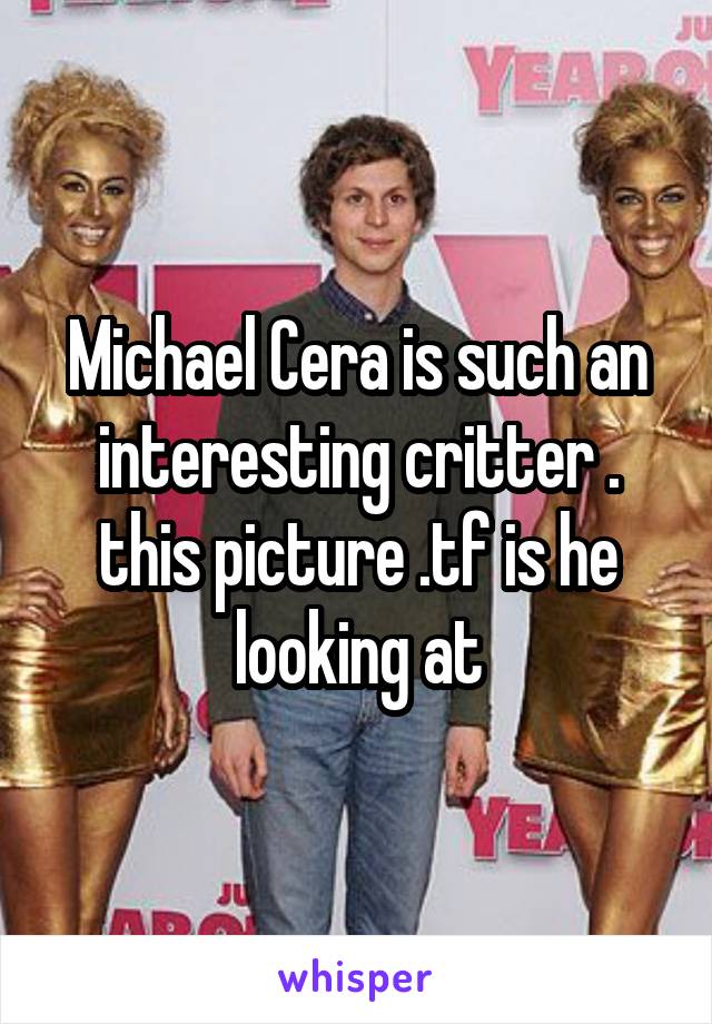 Michael Cera is such an interesting critter . this picture .tf is he looking at