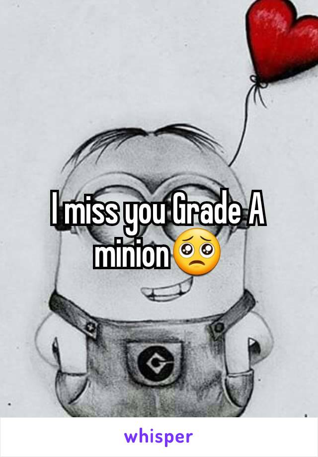 I miss you Grade A minion🥺