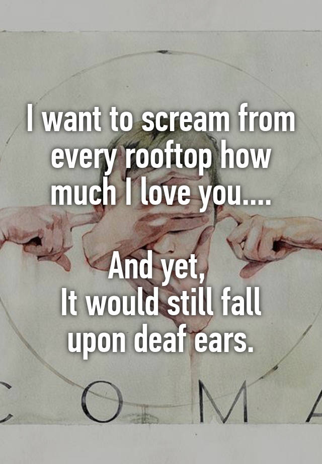 I want to scream from every rooftop how much I love you....

And yet, 
It would still fall upon deaf ears.