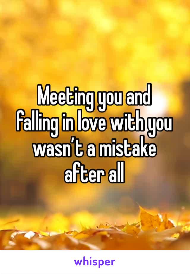 Meeting you and
falling in love with you wasn’t a mistake
after all