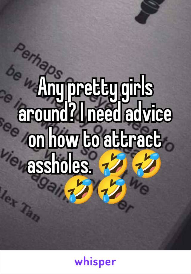 Any pretty girls around? I need advice on how to attract assholes. 🤣🤣🤣🤣