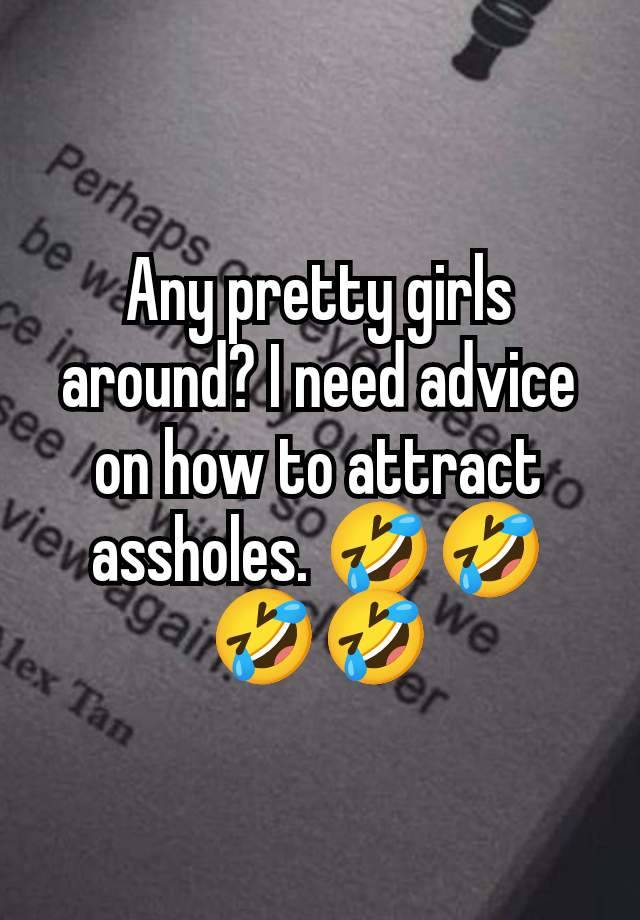 Any pretty girls around? I need advice on how to attract assholes. 🤣🤣🤣🤣