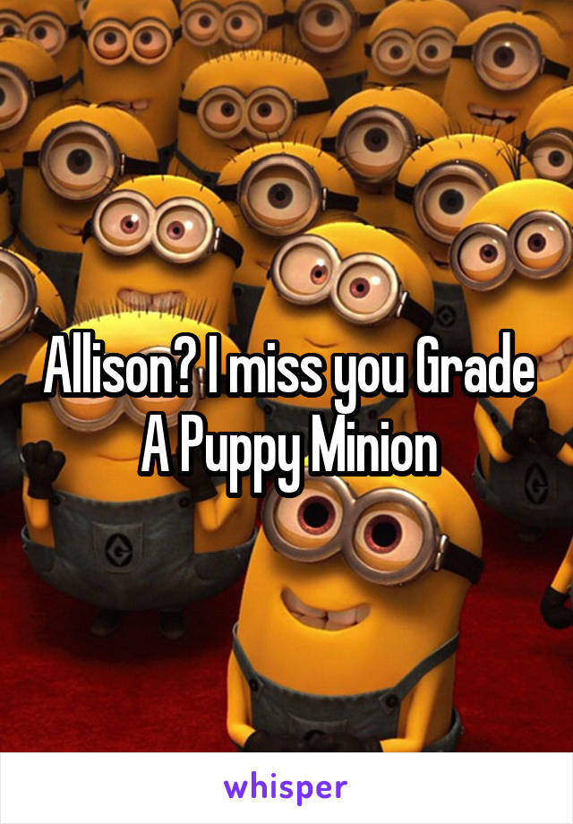 Allison? I miss you Grade A Puppy Minion