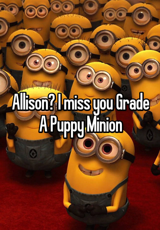 Allison? I miss you Grade A Puppy Minion