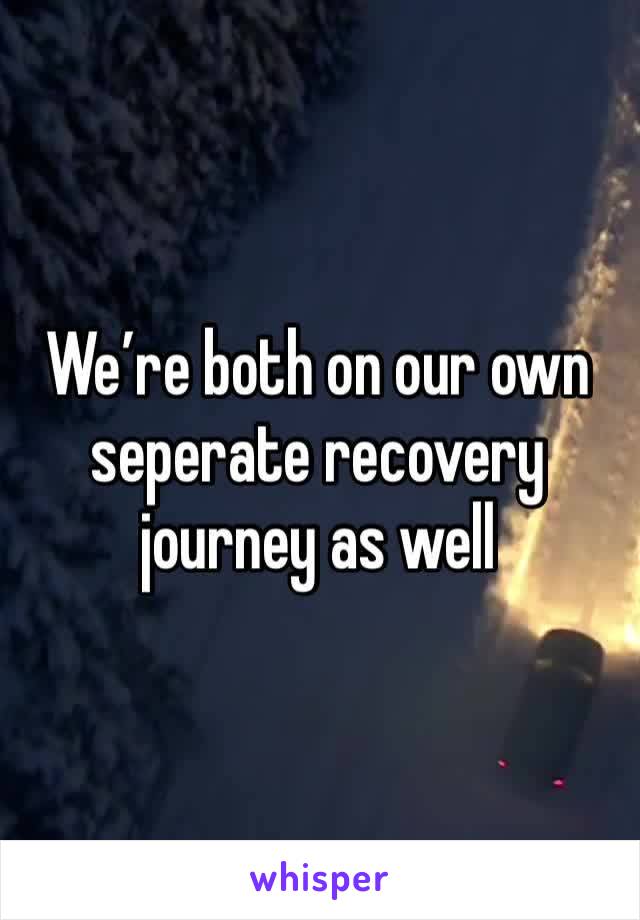 We’re both on our own seperate recovery journey as well  