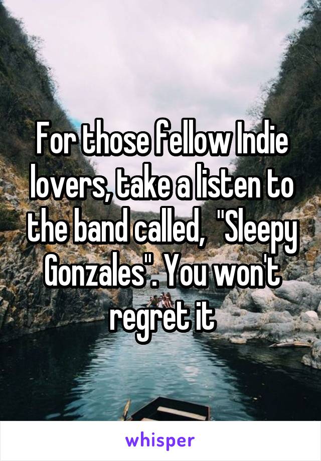 For those fellow Indie lovers, take a listen to the band called,  "Sleepy Gonzales". You won't regret it