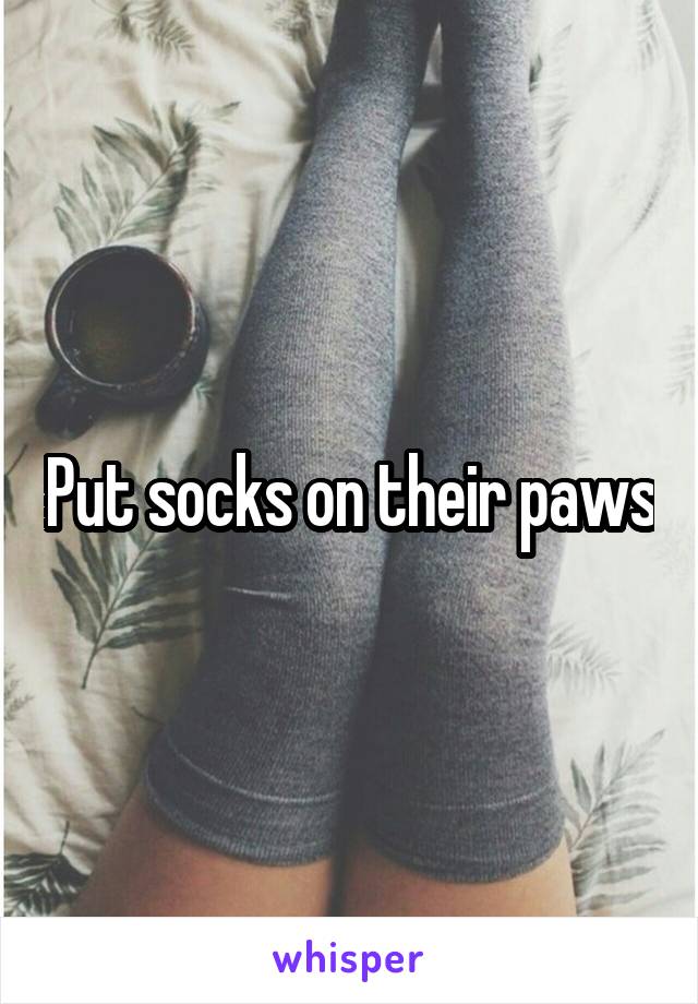 Put socks on their paws