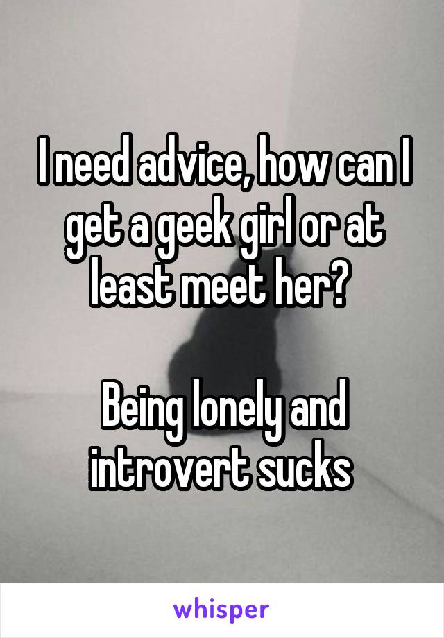 I need advice, how can I get a geek girl or at least meet her? 

Being lonely and introvert sucks 