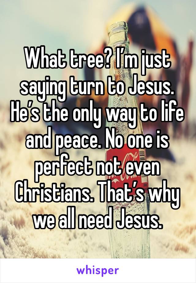 What tree? I’m just saying turn to Jesus. He’s the only way to life and peace. No one is perfect not even Christians. That’s why we all need Jesus. 