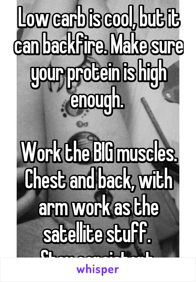 Low carb is cool, but it can backfire. Make sure your protein is high enough. 

Work the BIG muscles. Chest and back, with arm work as the satellite stuff. 
Stay consistent.