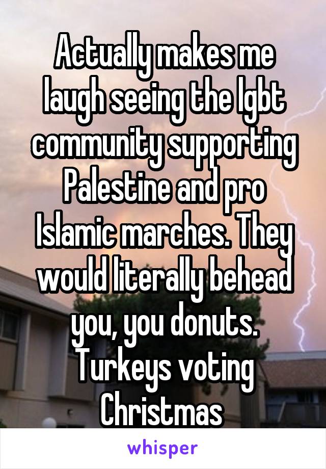 Actually makes me laugh seeing the lgbt community supporting Palestine and pro Islamic marches. They would literally behead you, you donuts. Turkeys voting Christmas 