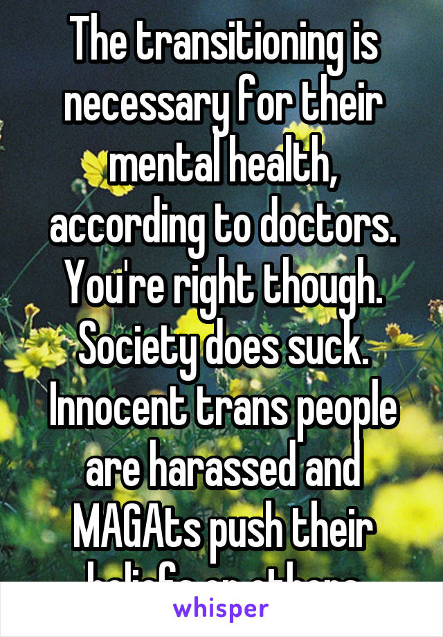 The transitioning is necessary for their mental health, according to doctors.
You're right though. Society does suck.
Innocent trans people are harassed and MAGAts push their beliefs on others