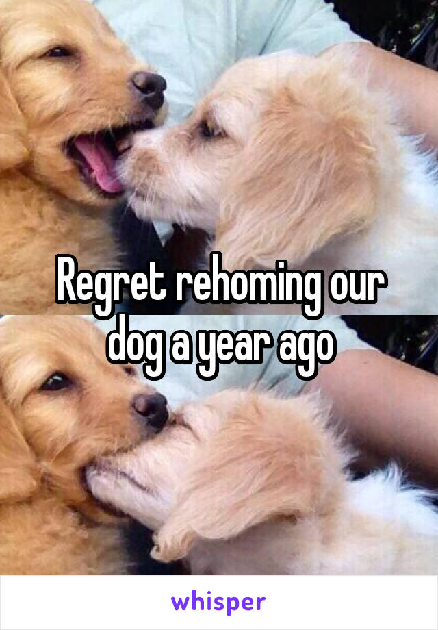 Regret rehoming our dog a year ago