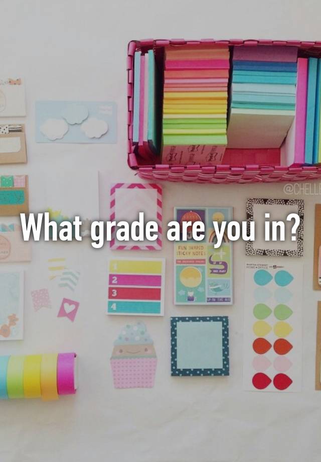 What grade are you in?