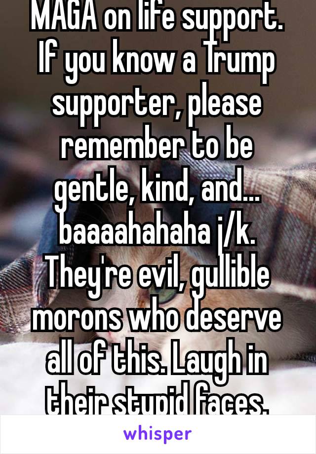 MAGA on life support.  If you know a Trump supporter, please remember to be gentle, kind, and... baaaahahaha j/k. They're evil, gullible morons who deserve all of this. Laugh in their stupid faces. 🤣