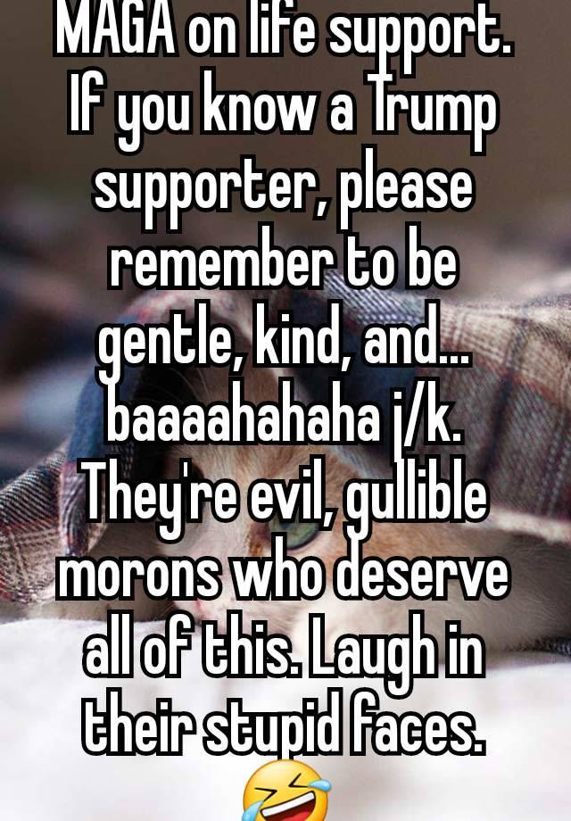 MAGA on life support.  If you know a Trump supporter, please remember to be gentle, kind, and... baaaahahaha j/k. They're evil, gullible morons who deserve all of this. Laugh in their stupid faces. 🤣