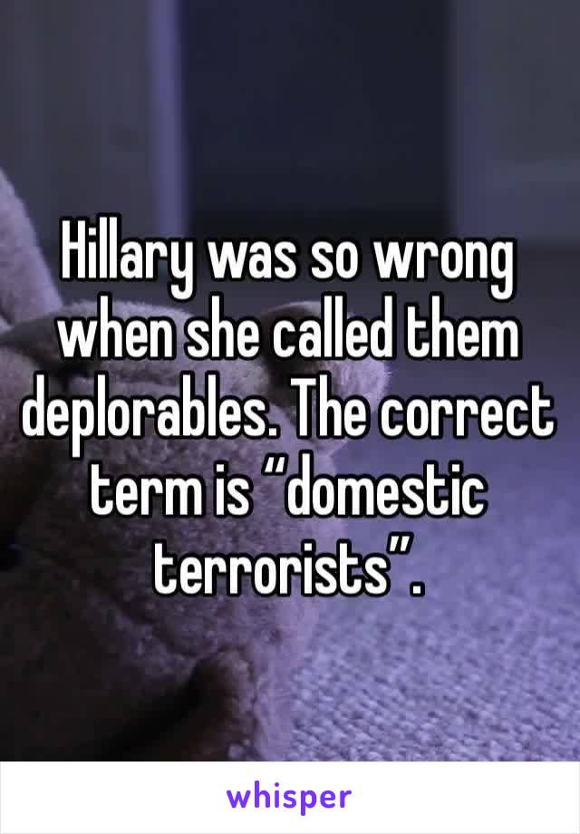 Hillary was so wrong when she called them deplorables. The correct term is “domestic terrorists”.