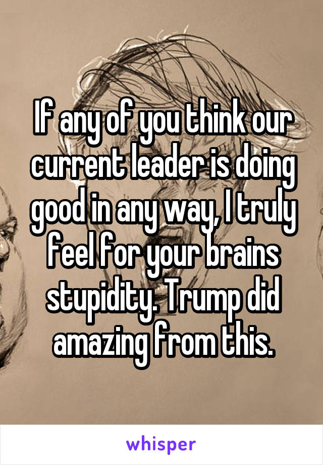 If any of you think our current leader is doing good in any way, I truly feel for your brains stupidity. Trump did amazing from this.