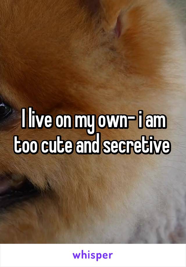 I live on my own- i am too cute and secretive 