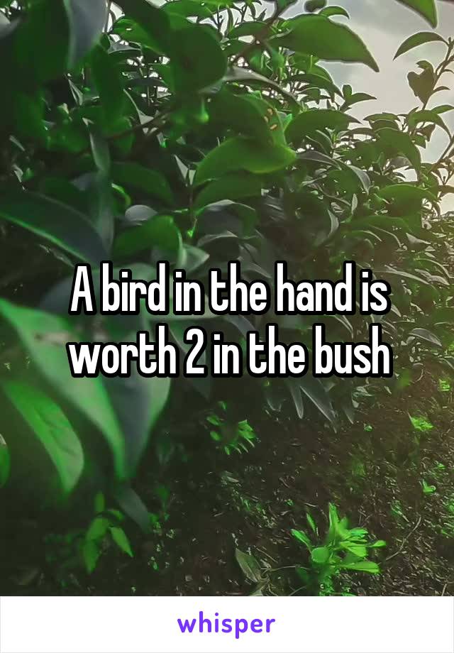 A bird in the hand is worth 2 in the bush