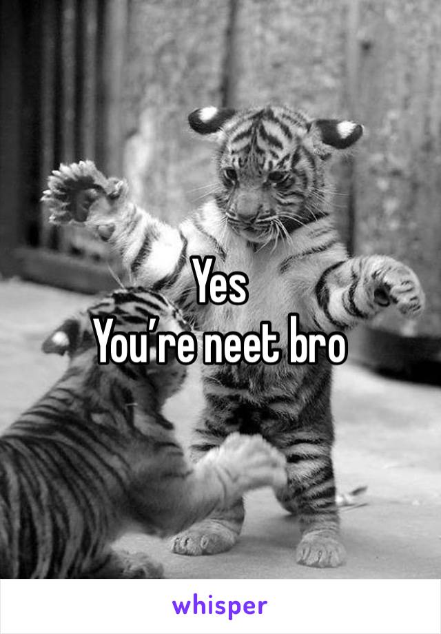 Yes
You’re neet bro