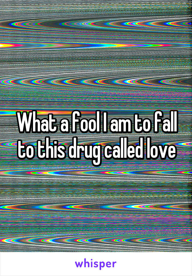 What a fool I am to fall to this drug called love