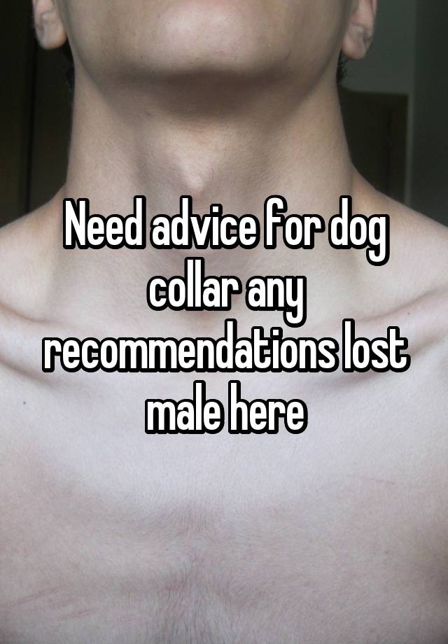 Need advice for dog collar any recommendations lost male here