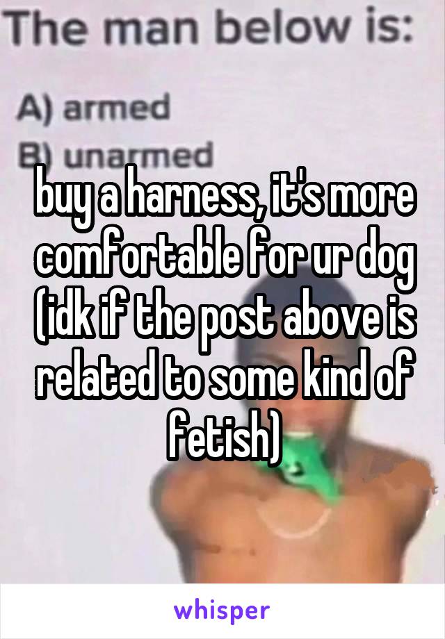 buy a harness, it's more comfortable for ur dog (idk if the post above is related to some kind of fetish)