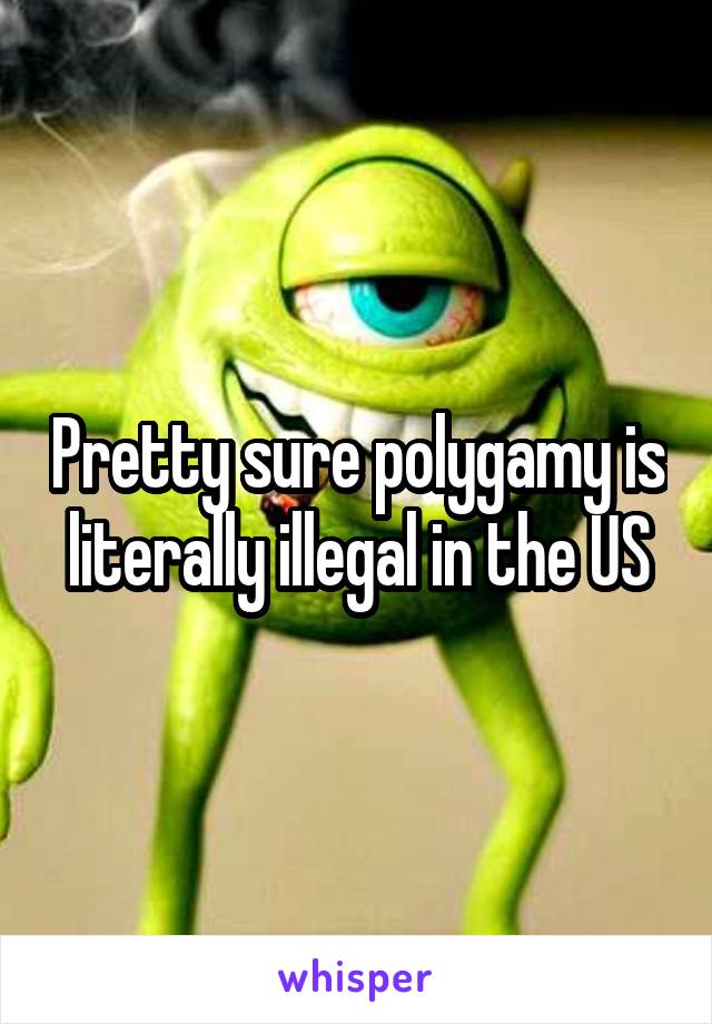 Pretty sure polygamy is literally illegal in the US