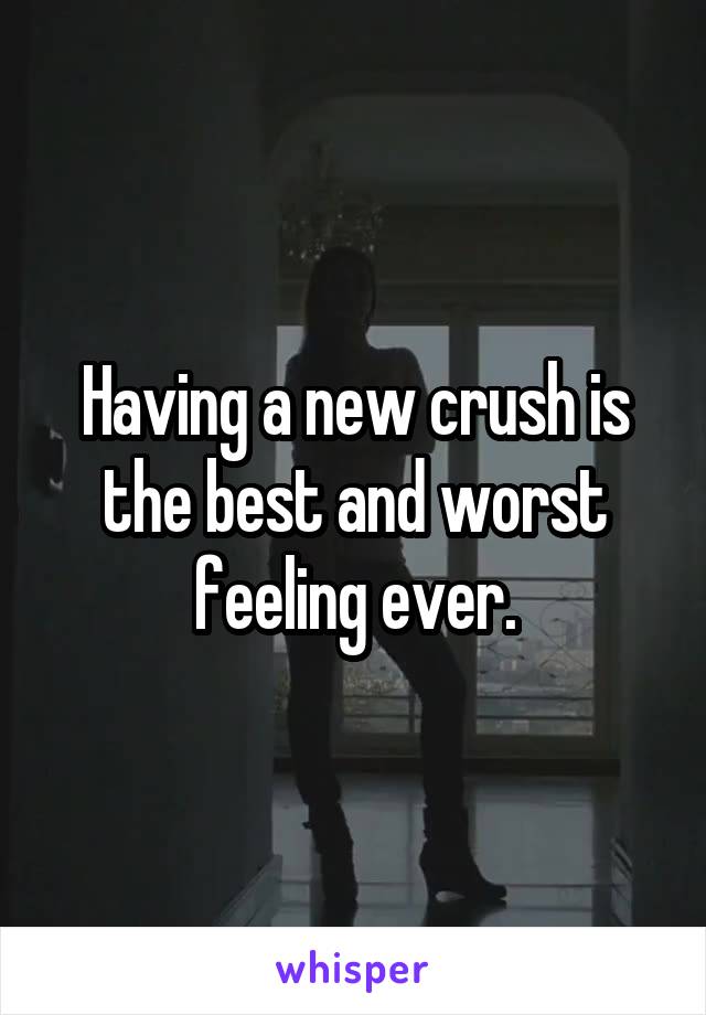 Having a new crush is the best and worst feeling ever.