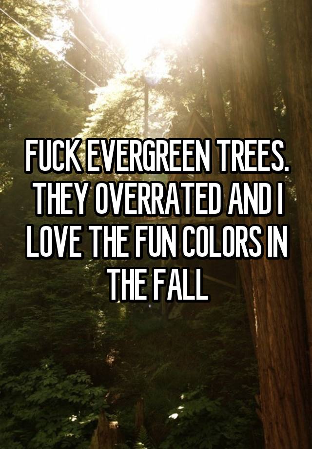 FUCK EVERGREEN TREES. THEY OVERRATED AND I LOVE THE FUN COLORS IN THE FALL