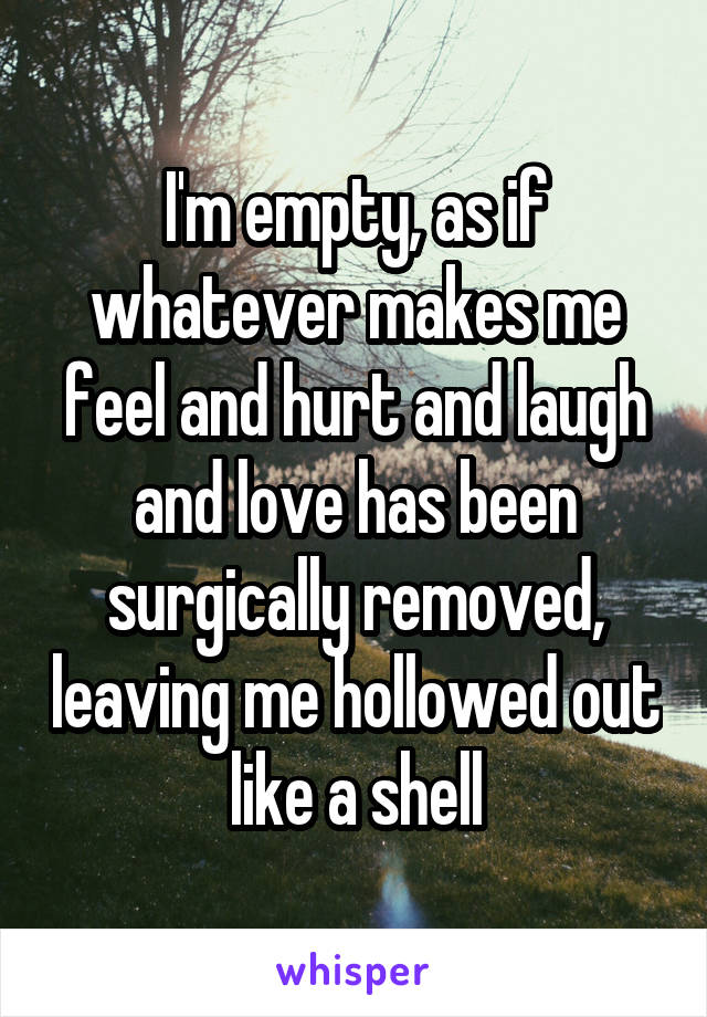   I'm empty, as if whatever makes me feel and hurt and laugh and love has been surgically removed, leaving me hollowed out like a shell