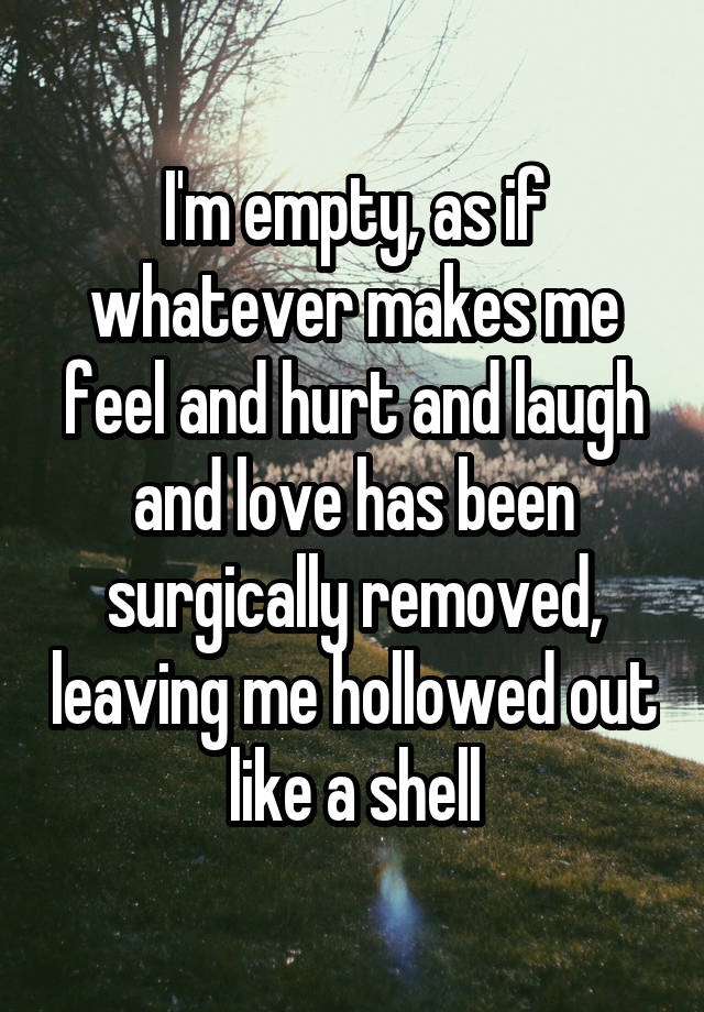   I'm empty, as if whatever makes me feel and hurt and laugh and love has been surgically removed, leaving me hollowed out like a shell